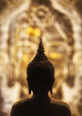 Face to face with Buddha