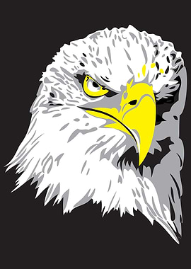 The bald eagle