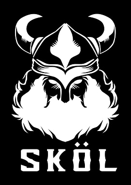 Vikings Skol