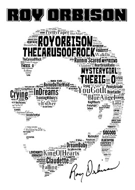 Roy Orbison Songs Portrait