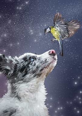 Aussie with blue tit