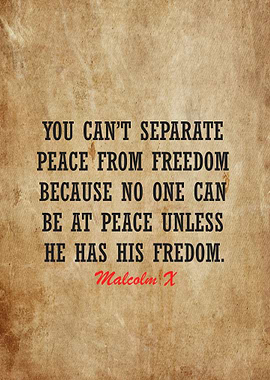 malcolm x quotes