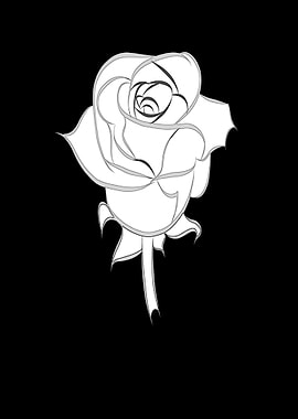 Beautiful rose as a flower