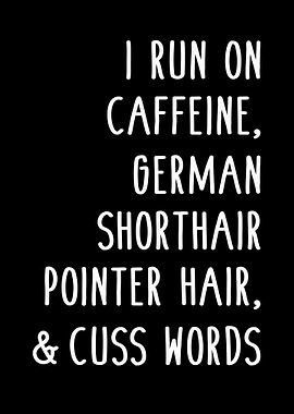 Funny German Shorthair