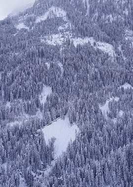Snowy Mountain in CH