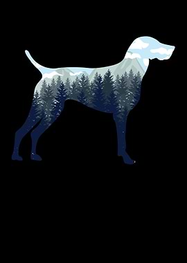 German Shorthair Pointer