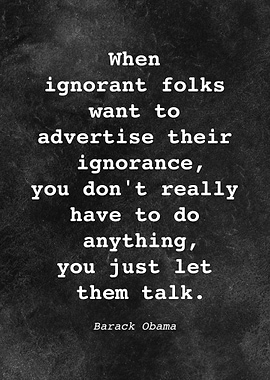 Barack Obama Quote D006