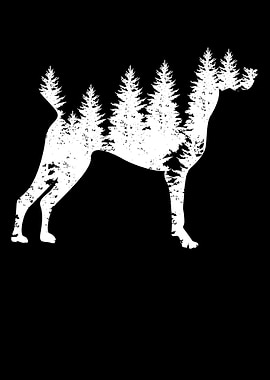 German Shorthair Pointer