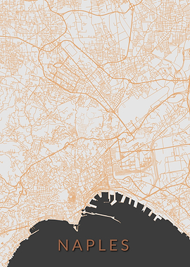 Naples Map