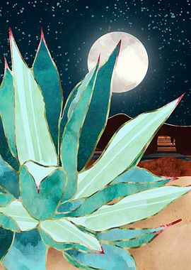 Desert Agave