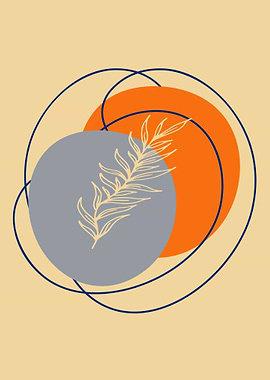 Summer Dreams and Circles