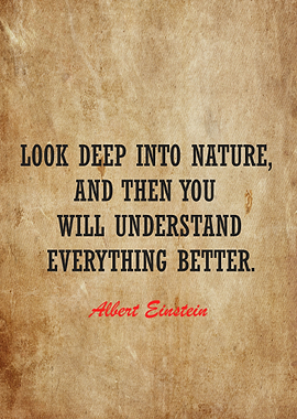albert einstein quotes