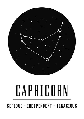Capricorn zodiac traits