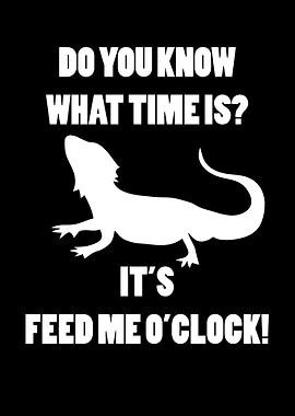 Funny Bearded Dragon