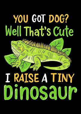 Iguana Lizard Reptile