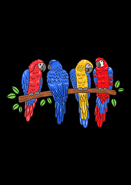 Parrot Bird Cockatoo