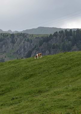 rocky mountain and cloudy