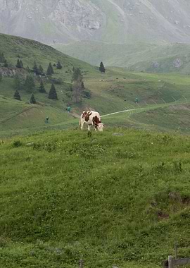 rocky mountain and cloudy