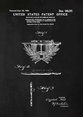 44 Military Army Insigne