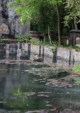 Abandoned old factory area