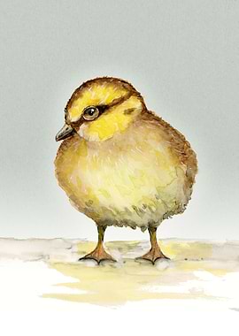 Cute duckling watercolor