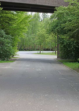 Abandon industrial factory