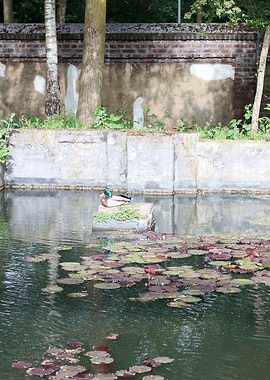 Abandoned old factory area