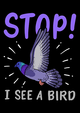 Birds Birdwatcher Ornithol