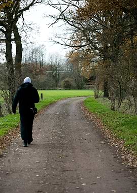 Wild forest empty roads