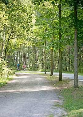 Brombachsee zeltwiese area