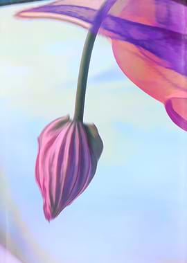 abstract flower in bloom