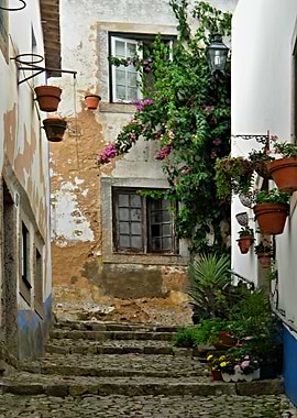Idyllic narrow street
