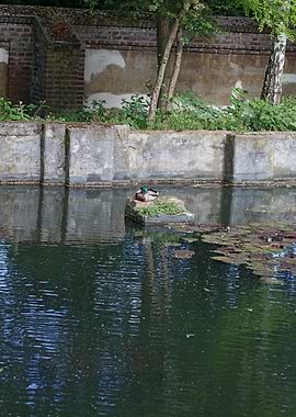 Abandoned old factory area
