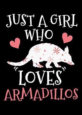 Armadillo Armadillo Lover