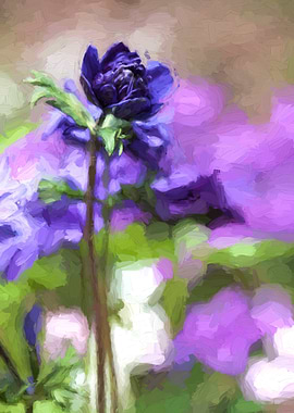 anemone in the garden