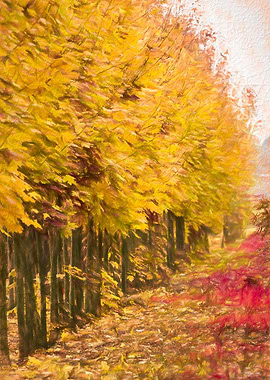 autumn tree in a row