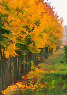 autumn tree in a row