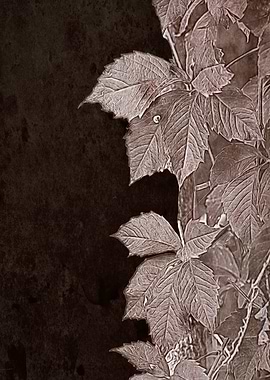 colorful autumn leaf