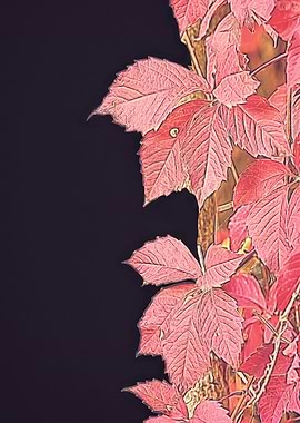 colorful autumn leaf