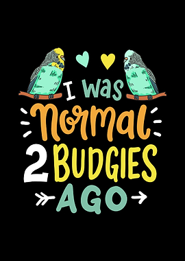 Budgie Budgerigar Parake