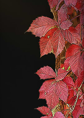 colorful autumn leaf