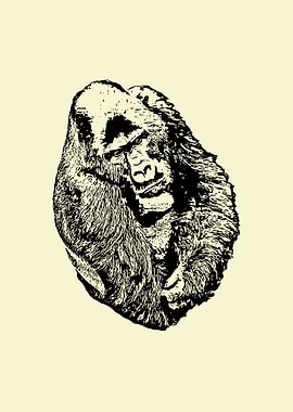Gorilla portrait 2