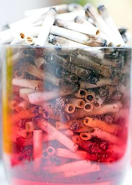 Smoke weed every day joint