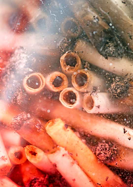 Smoke weed every day joint