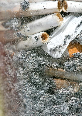 Smoke weed every day joint