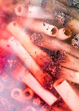 Smoke weed every day joint