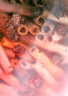 Smoke weed every day joint