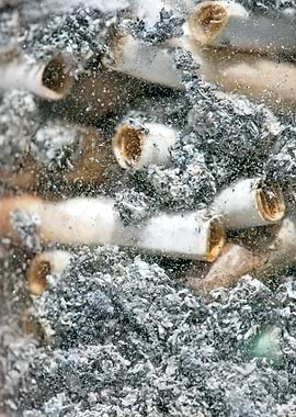 Smoke weed every day joint