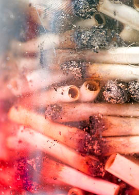 Smoke weed every day joint