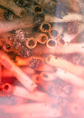 Smoke weed every day joint